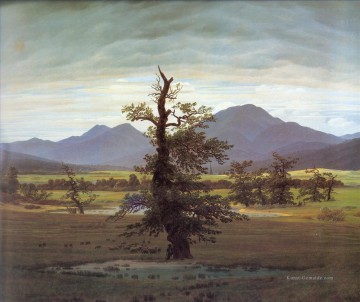  Baum Kunst - Friedrich Landschaft mit Alleiner Baum romantischen Caspar David Friedrich
